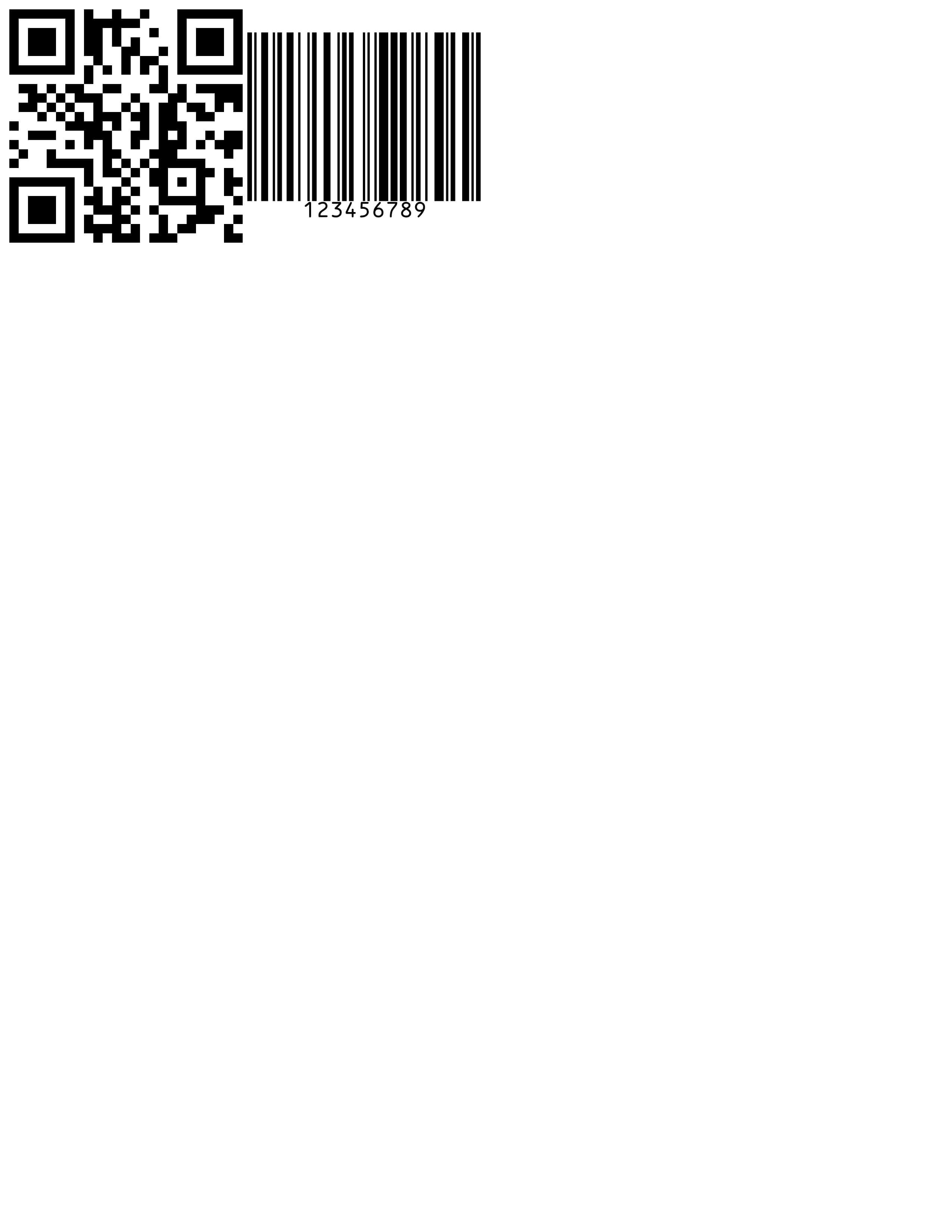 Barcode preview